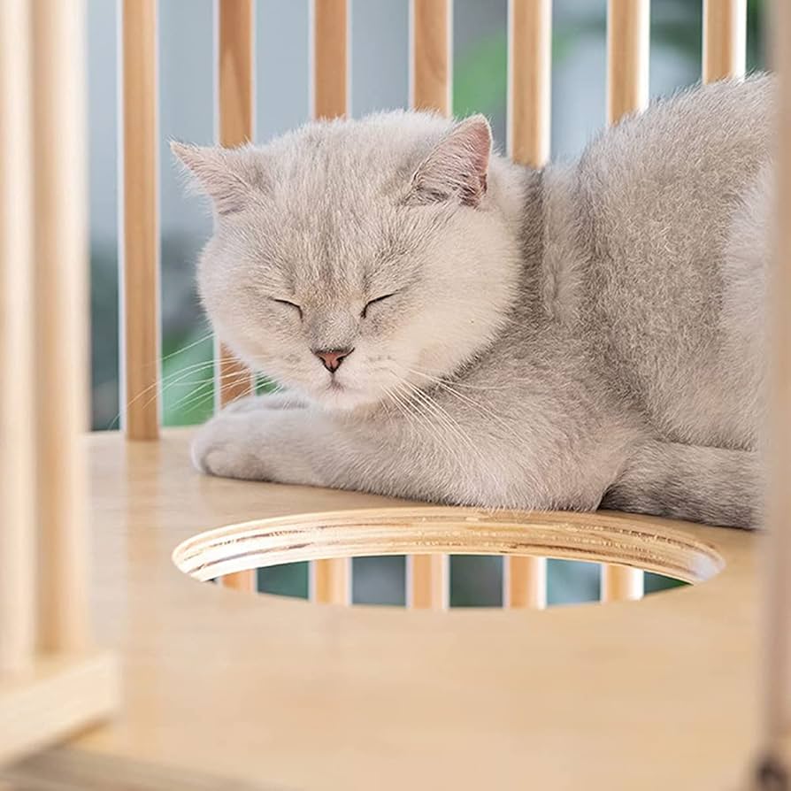 Amazon.co.jp: ペットケージ、猫ケージ猫ハウスキャットハウス